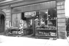 Co-op-1995-1