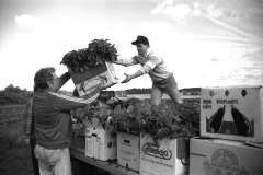 Co-op-Campbell-CSA-Sep-1995-33