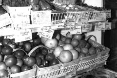 Co-op-June-1995-1